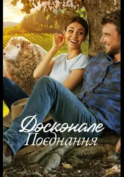 Досконале поєднання