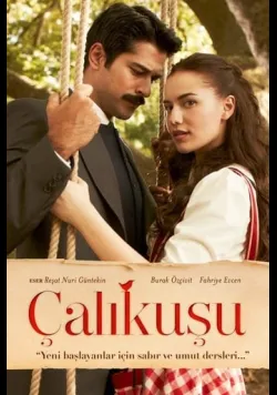 Постер серіалу Корольок - пташка співоча (2013) українською
