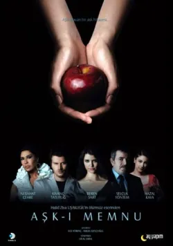 Постер «Заборонене кохання» (2008)